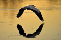 Slough_20080423_45.jpg