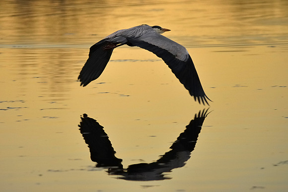 Slough_20080423_45.jpg