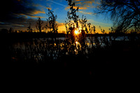 Slough_2009_01_06_09_.jpg