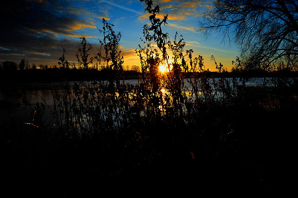 Slough_2009_01_06_09_.jpg