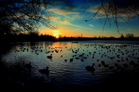 Slough_2009_01_06_05_.jpg