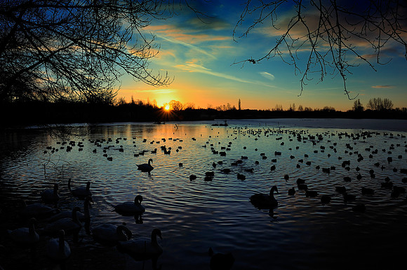 Slough_2009_01_06_05_.jpg