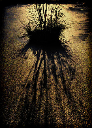 Slough_2009_01_06_25_.jpg