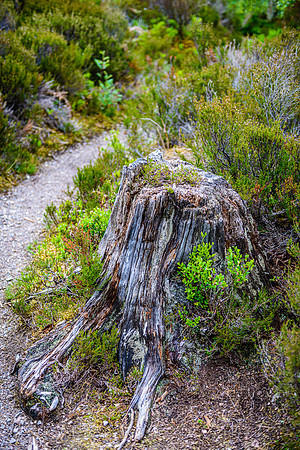 NC500 Day Three-286