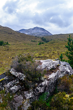 NC500 Day Three-200