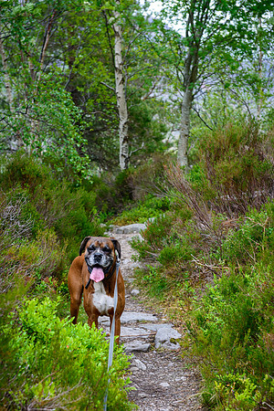 NC500 Day Three-283