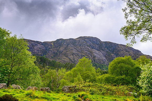 NC500 Day Three-238