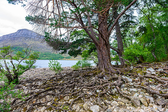 NC500 Day Three-254