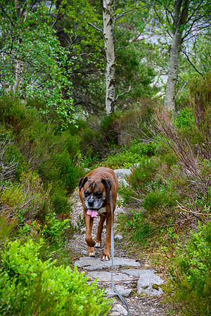 NC500 Day Three-282