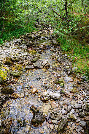 NC500 Day Three-267