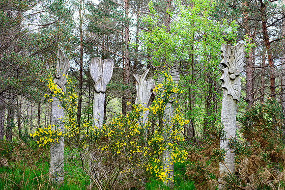 NC500 Day Three-181