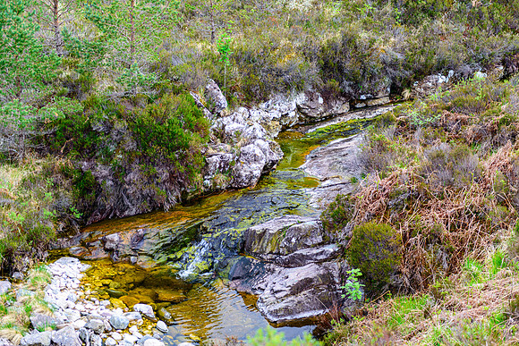 NC500 Day Three-191