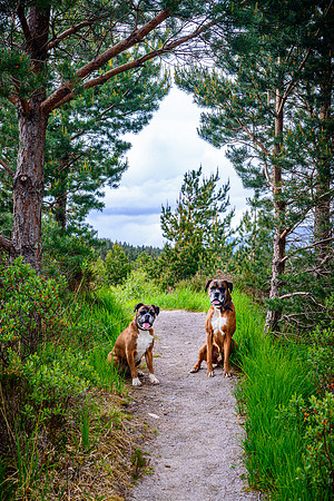 NC500 Day Three-209