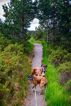 NC500 Day Three-205