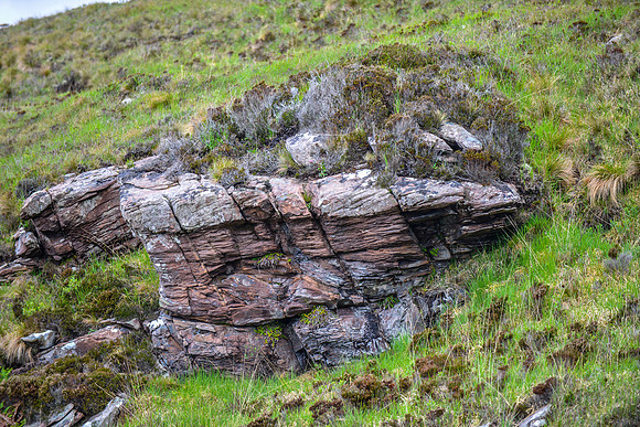 NC500 Day Three-27