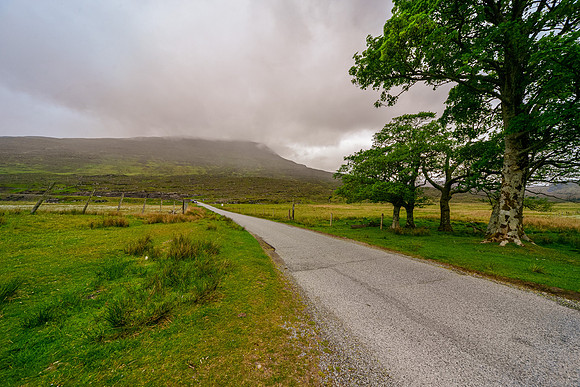 NC500 Day Three-4