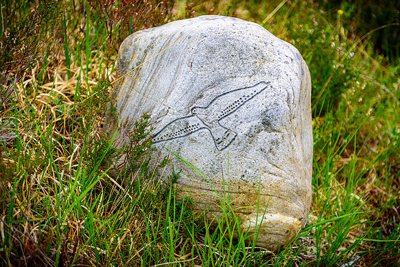 NC500 Day Three-212