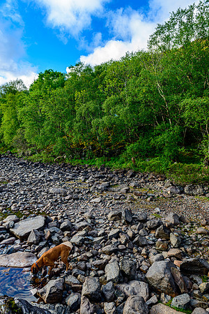 NC500 Day Four-8