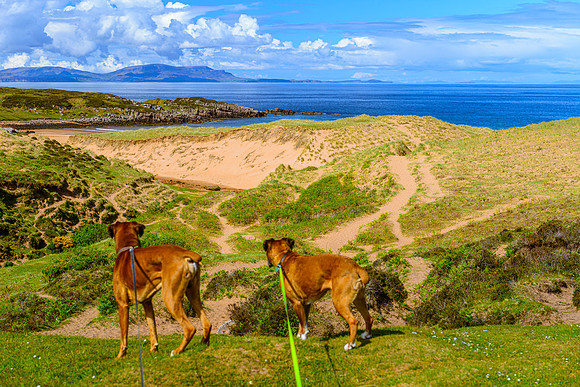 NC500 Day Four-23