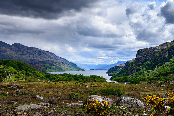 NC500 Day Four-134