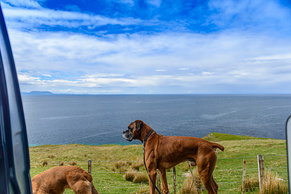 NC500 Day Four-114