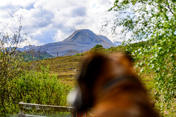 NC500 Day Four-352