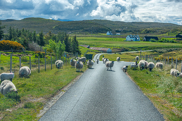 NC500 Day Four-467