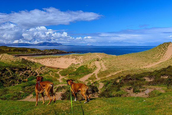 NC500 Day Four-24