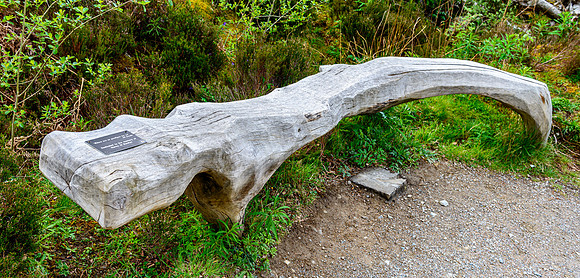 NC500 Day Four-169