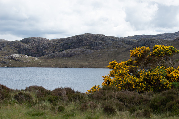 NC500 Day Four-360