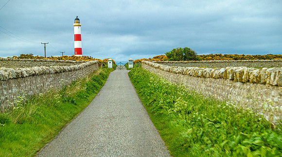 NC500 Day Seven-347