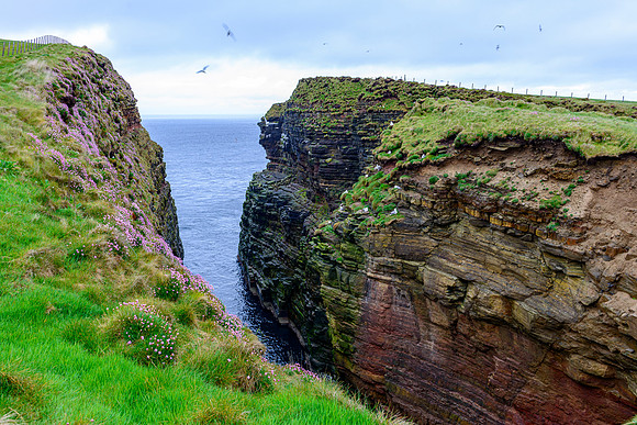 NC500 Day Seven-7