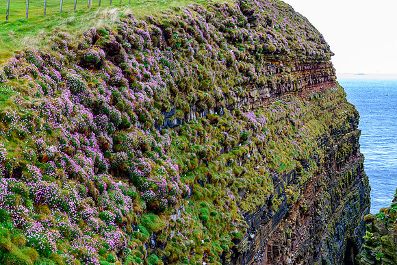 NC500 Day Seven-10