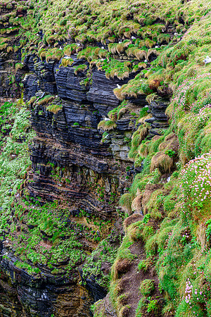 NC500 Day Seven-20
