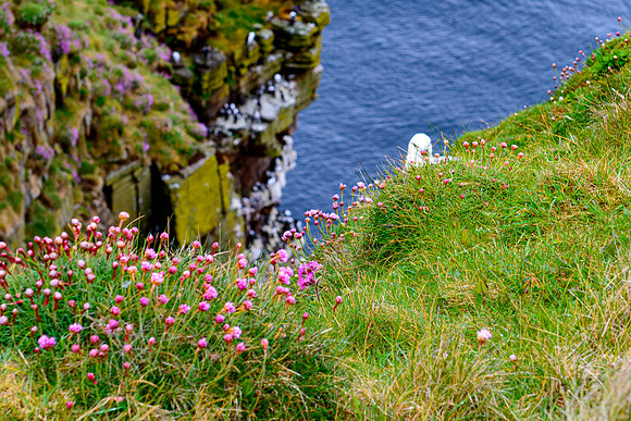 NC500 Day Seven-28
