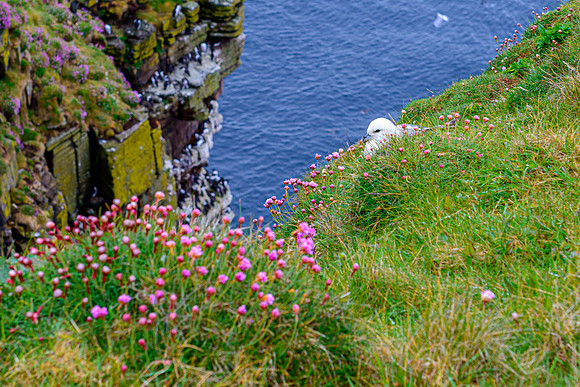 NC500 Day Seven-29