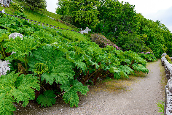 NC500 Day Seven-142