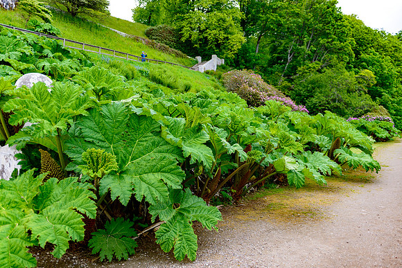 NC500 Day Seven-141