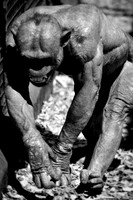 Twycross Zoo_20080507_20_.jpg