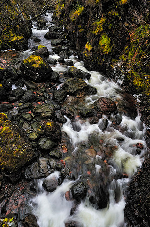 Scotland_2010-12-29_16-37-09