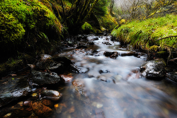 Scotland_2010-12-28_16-31-14