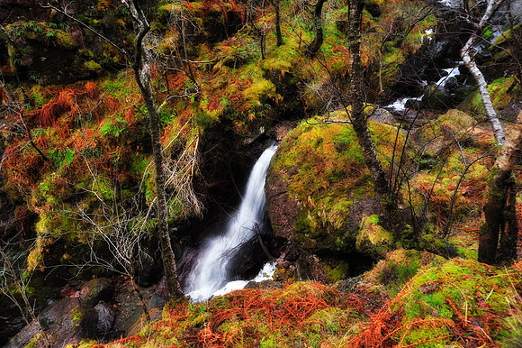 Scotland_2010-12-29_16-21-53