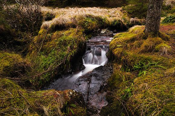 Scotland_2010-12-28_16-40-29