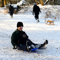 Sutton park-19.jpg