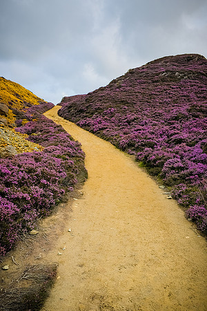 Anglesey Road Trip Aug 2023 best-77-edited