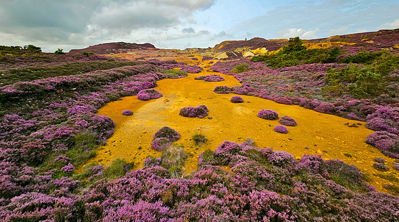 Anglesey Road Trip Aug 2023 best-81-edited