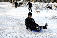 Sutton park-20.jpg