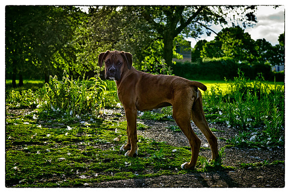Brewster end june 2012-17