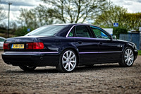 Amar's Blue S8-14