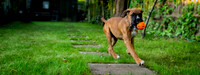 Brewster very first photos-53bb